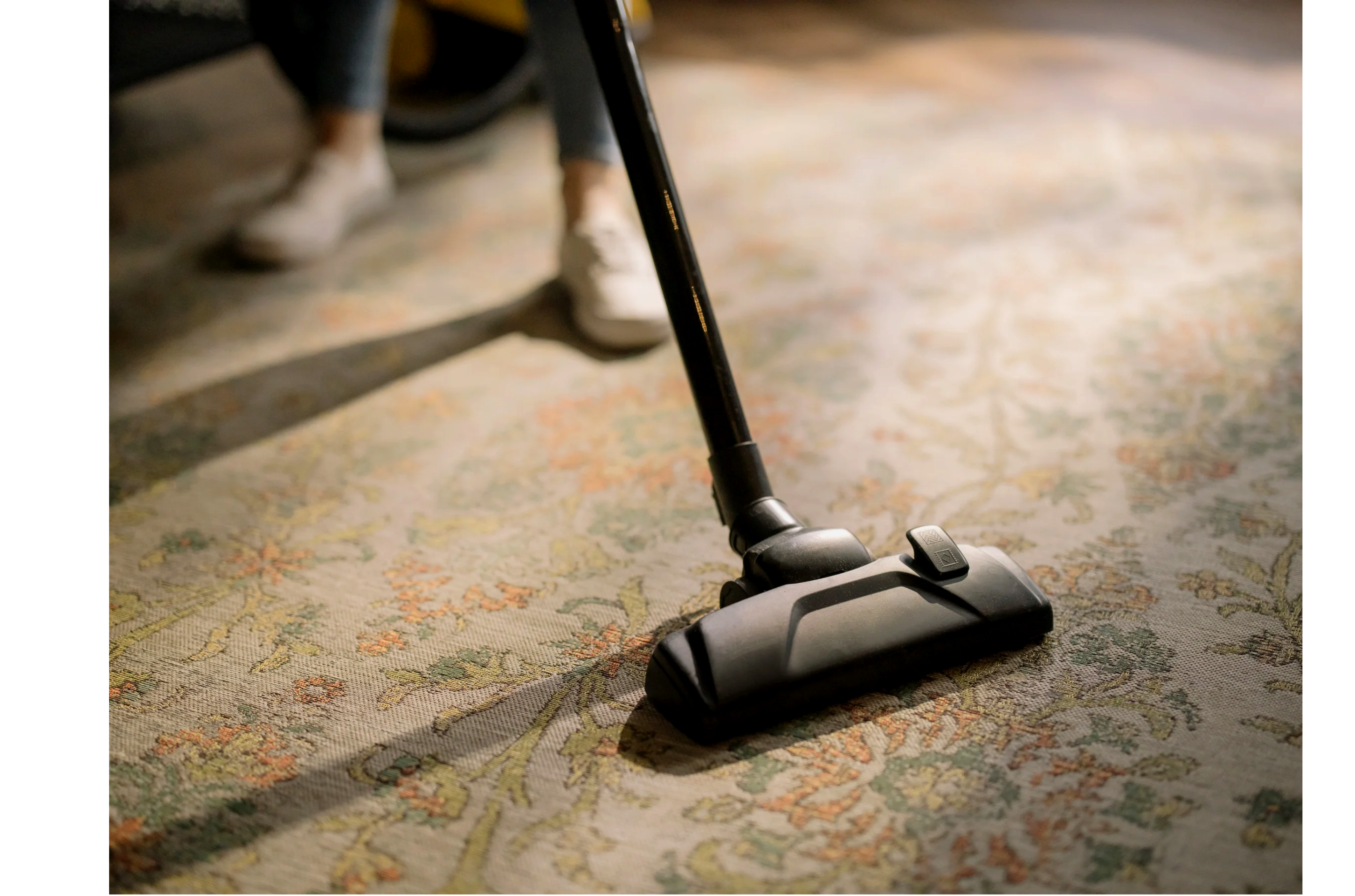 Carpet Cleaning